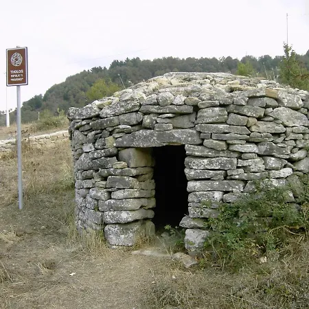 Martina Raccuia